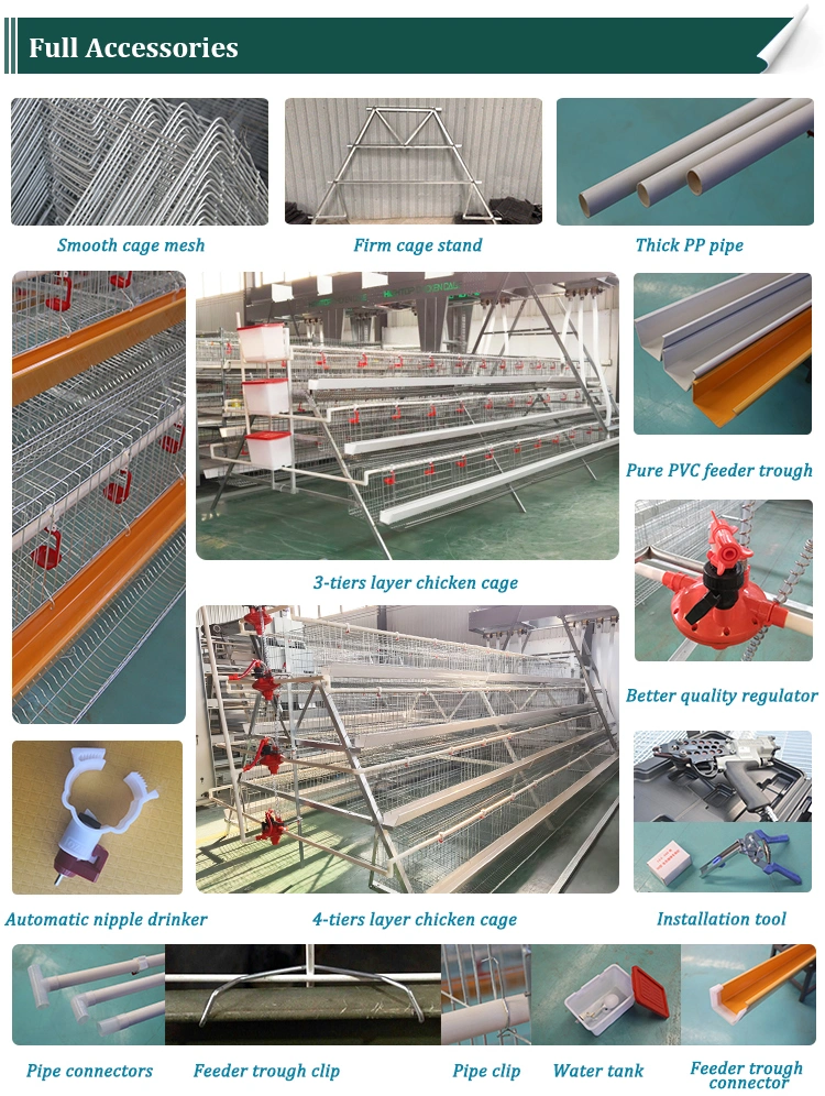 Cheap A Type Welded Wire Mesh Poultry 120 Chicken Layer Cages Sale