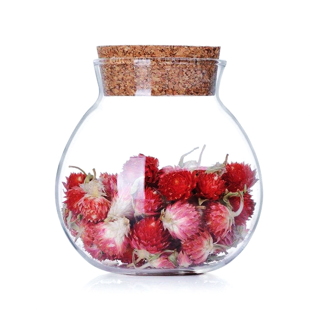 Lovely Round Tea Pot High Borosilicate Glass Sealed Pot Candy Milk Powder Micro Landscape Dried Fruit Food Storage Tank