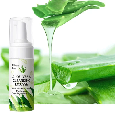 Personnaliser Logo Aloe Vera Nettoyant Mousse nettoyante en profondeur Mousse de contrôle de l'huile Produit de soin de la peau à base de plantes