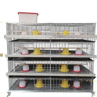 Cages de poulet de grillage de qualité fiable, cages de poulet de ferme avicole